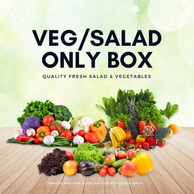 VEG/SALAD ONLY BOX