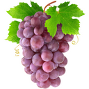 Grapes Seedless (900g)