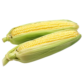 Corn Cobs (ea)