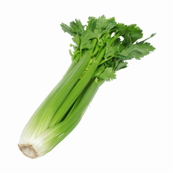 Celery (1/2)