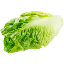 Load image into Gallery viewer, Lettuce Baby Cos (ea)