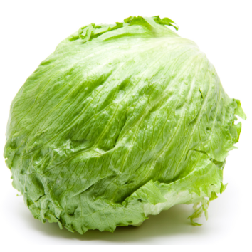 Lettuce Iceberg (ea)